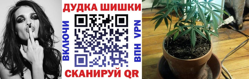Как найти закладки Курлово АМФЕТАМИН  КОКАИН  ГАШИШ  A-PVP  МЕФ  Канабис 