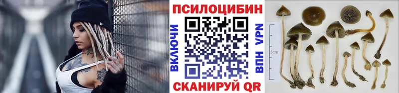 Галлюциногенные грибы ЛСД  Курлово 